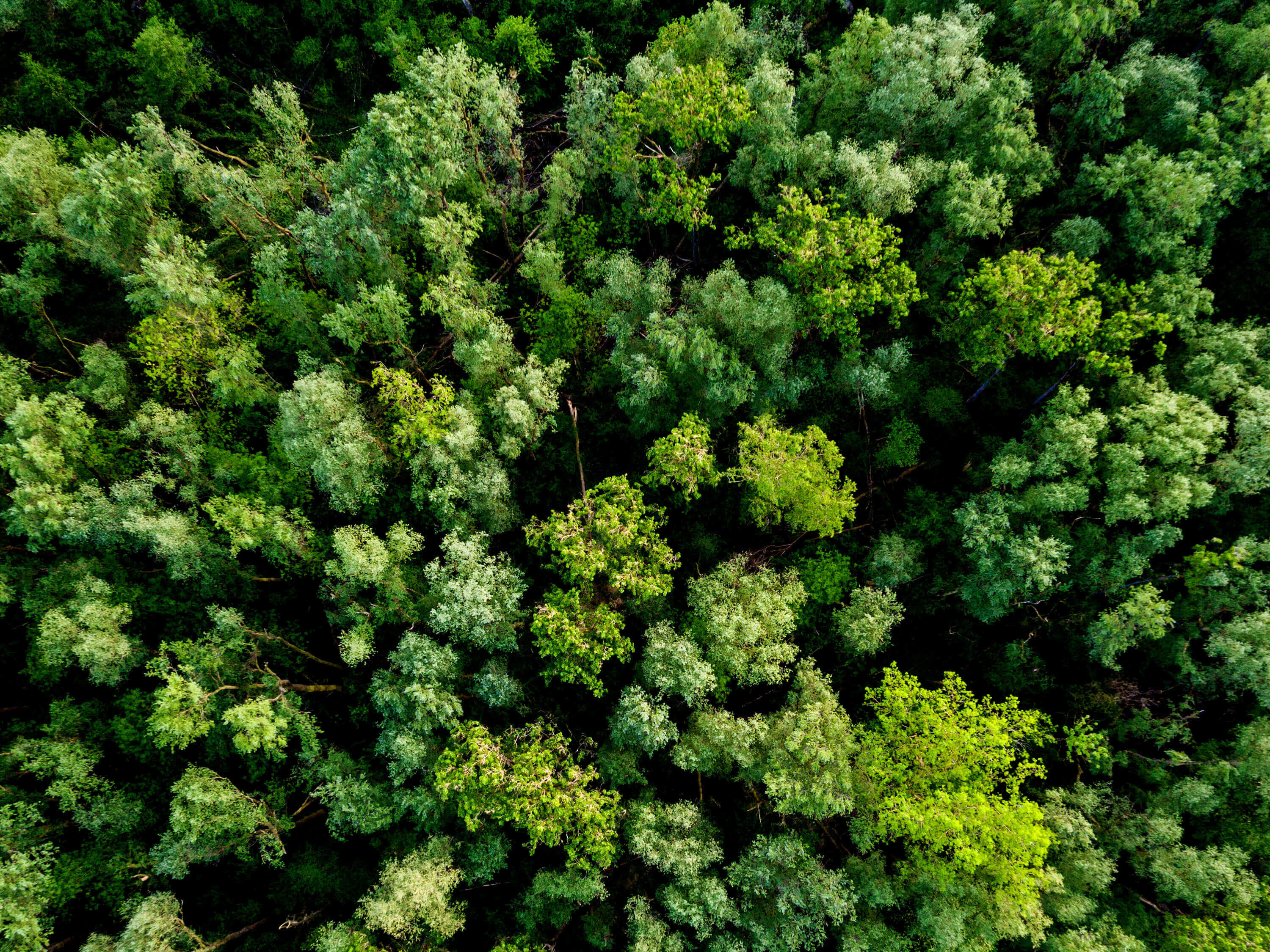 Naturschutz & Klimaschutz